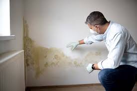 Why You Should Choose Our Mold Remediation Services in Turnersville, NJ